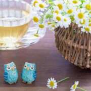 ヒメ日記 2026/01/04 13:34 投稿 こころ アドミsince2002立川デリヘル&Go To FANTASY東京本店