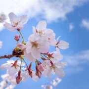 ヒメ日記 2026/04/03 17:30 投稿 こころ アドミsince2002立川デリヘル&Go To FANTASY東京本店