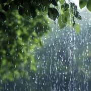 ヒメ日記 2026/04/04 20:05 投稿 こころ アドミsince2002立川デリヘル&Go To FANTASY東京本店