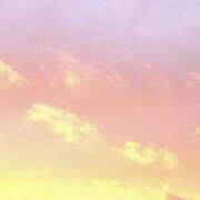 ヒメ日記 2026/04/24 18:00 投稿 こころ アドミsince2002立川デリヘル&Go To FANTASY東京本店