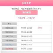 ヒメ日記 2025/03/25 00:14 投稿 まどか 西川口前立腺研究所