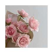 ヒメ日記 2025/03/11 23:51 投稿 まいか ロリ性感と痴女教師 池袋ちんぐり学園