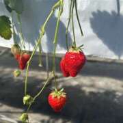 ヒメ日記 2025/02/25 08:39 投稿 はるか 東京人妻セレブリティ（ユメオト）