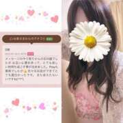 ヒメ日記 2025/05/14 03:10 投稿 青木日向子(あおきひなこ) 五十路マダムエクスプレス厚木店(カサブランカグループ)