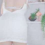 ヒメ日記 2025/02/28 00:49 投稿 すい 大阪和泉ちゃんこ