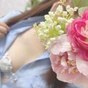 ヒメ日記 2025/03/03 17:05 投稿 すい 大阪和泉ちゃんこ