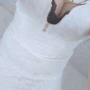 ヒメ日記 2025/04/30 09:59 投稿 すい 大阪和泉ちゃんこ