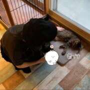 ヒメ日記 2025/03/24 17:34 投稿 綾瀬えみり（巨乳・抜群スタイル） ソープランド ラ・メイド neo