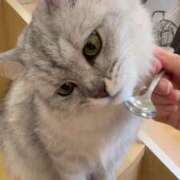 ヒメ日記 2025/06/03 10:14 投稿 綾瀬えみり（巨乳・抜群スタイル） ソープランド ラ・メイド neo