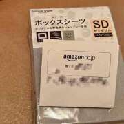 ヒメ日記 2026/02/02 11:34 投稿 綾瀬えみり（巨乳・抜群スタイル） ソープランド ラ・メイド neo