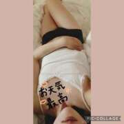 ヒメ日記 2025/06/22 10:24 投稿 かな フィエスタ