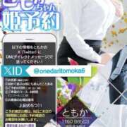 ヒメ日記 2026/10/08 12:31 投稿 【ともか】 おっとりスレンダー嬢 おねだり本店　熊本