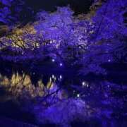 ヒメ日記 2025/04/24 19:30 投稿 くじら 即トク奥さん