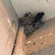 ヒメ日記 2025/06/04 22:00 投稿 くじら 即トク奥さん