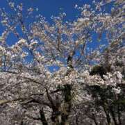 ヒメ日記 2025/06/05 22:03 投稿 くじら 即トク奥さん