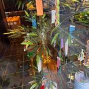 ヒメ日記 2025/06/06 14:20 投稿 くじら 即トク奥さん