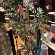 ヒメ日記 2025/06/06 23:00 投稿 くじら 即トク奥さん