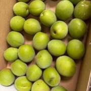 ヒメ日記 2025/06/08 07:50 投稿 くじら 即トク奥さん