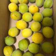 ヒメ日記 2025/06/11 21:40 投稿 くじら 即トク奥さん