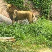 ヒメ日記 2025/06/13 11:50 投稿 くじら 即トク奥さん