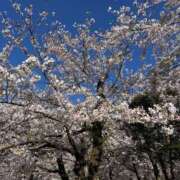 くじら 皆さんに一言申し上げます！！ 即トク奥さん