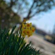 ヒメ日記 2025/03/22 18:59 投稿 みう　黒髪スレンダー美女 よかろうもん下関本店