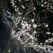 ヒメ日記 2025/04/04 10:59 投稿 みう　黒髪スレンダー美女 よかろうもん下関本店