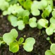 ヒメ日記 2025/04/22 09:19 投稿 みう　黒髪スレンダー美女 よかろうもん下関本店