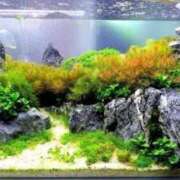 ヒメ日記 2025/09/05 08:49 投稿 みう　黒髪スレンダー美女 よかろうもん下関本店