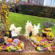 ヒメ日記 2025/11/05 08:29 投稿 みう　黒髪スレンダー美女 よかろうもん下関本店