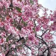 ヒメ日記 2026/03/13 18:39 投稿 みう　黒髪スレンダー美女 よかろうもん下関本店