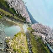 ヒメ日記 2026/04/07 10:59 投稿 みう　黒髪スレンダー美女 よかろうもん下関本店