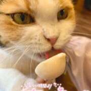 ヒメ日記 2025/02/15 00:29 投稿 さあや マリアージュ大宮