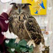 ヒメ日記 2025/03/05 19:07 投稿 さあや マリアージュ大宮