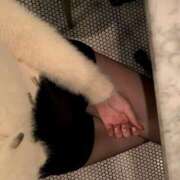 ヒメ日記 2026/02/03 19:04 投稿 青砥聖花 お姉さんCLUB