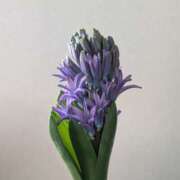 ヒメ日記 2025/03/23 05:19 投稿 しおん BEYOND SPA 五反田店