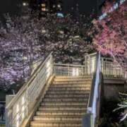 ヒメ日記 2025/04/03 20:29 投稿 しおん BEYOND SPA 五反田店