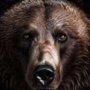 ヒメ日記 2025/11/17 16:33 投稿 まつり 熟女の風俗最終章 本厚木店