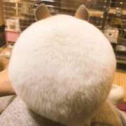 ヒメ日記 2025/11/19 01:01 投稿 まつり 熟女の風俗最終章 本厚木店