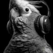 ヒメ日記 2025/11/19 18:21 投稿 まつり 熟女の風俗最終章 本厚木店