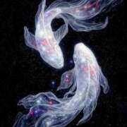 ヒメ日記 2025/11/20 00:31 投稿 まつり 熟女の風俗最終章 本厚木店