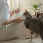 ヒメ日記 2025/11/20 11:32 投稿 まつり 熟女の風俗最終章 本厚木店