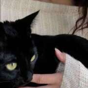 ヒメ日記 2025/11/21 00:35 投稿 まつり 熟女の風俗最終章 本厚木店