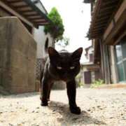 ヒメ日記 2025/11/21 09:21 投稿 まつり 熟女の風俗最終章 本厚木店