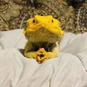 ヒメ日記 2025/11/22 00:41 投稿 まつり 熟女の風俗最終章 本厚木店