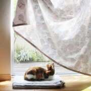 ヒメ日記 2025/11/22 12:21 投稿 まつり 熟女の風俗最終章 本厚木店