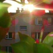 ヒメ日記 2025/11/22 12:41 投稿 まつり 熟女の風俗最終章 本厚木店