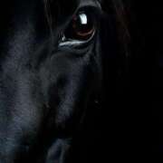 ヒメ日記 2025/11/26 01:41 投稿 まつり 熟女の風俗最終章 本厚木店