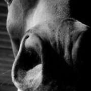 ヒメ日記 2025/11/26 14:02 投稿 まつり 熟女の風俗最終章 本厚木店