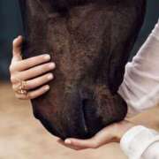 ヒメ日記 2025/11/26 18:11 投稿 まつり 熟女の風俗最終章 本厚木店